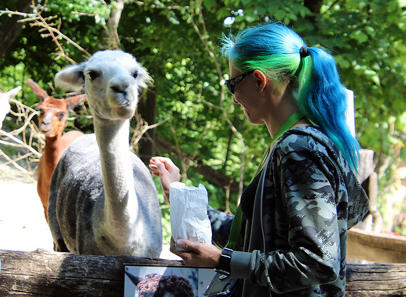 01.06.2021 - Die schönsten Stunden aus dem Zoo Salzburg.