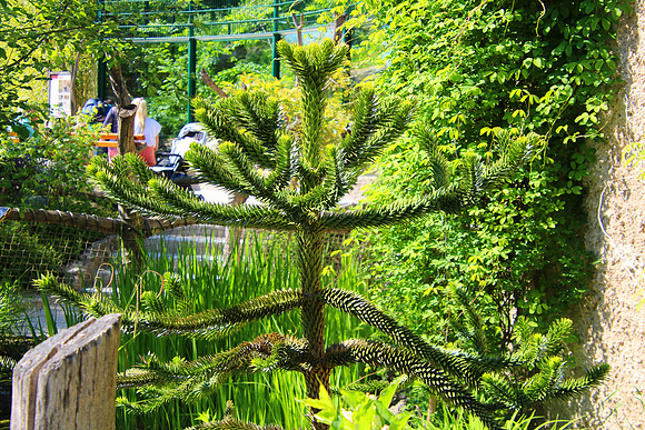 01.06.2021 - Die schönsten Stunden aus dem Zoo Salzburg.