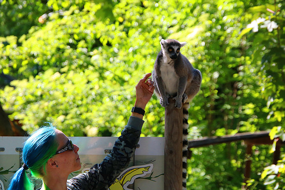01.06.2021 - Die schönsten Stunden aus dem Zoo Salzburg.