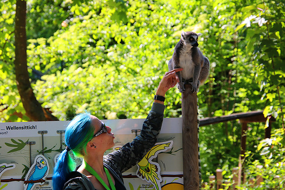 01.06.2021 - Die schönsten Stunden aus dem Zoo Salzburg.