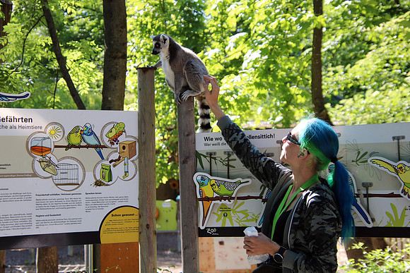 01.06.2021 - Die schönsten Stunden aus dem Zoo Salzburg.