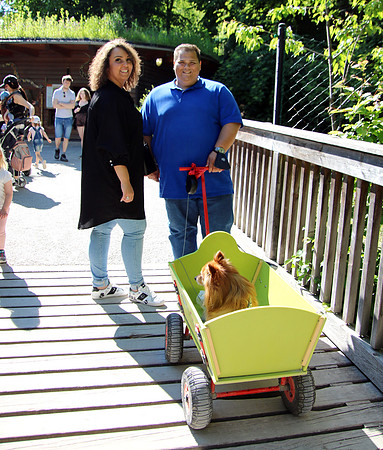 01.06.2021 - Die schönsten Stunden aus dem Zoo Salzburg.