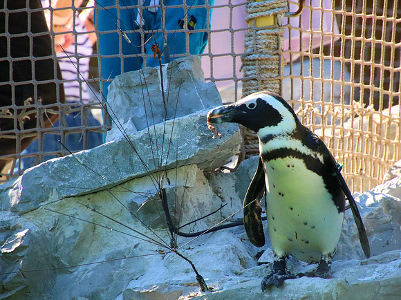 01.06.2021 - Die schönsten Stunden aus dem Zoo Salzburg.