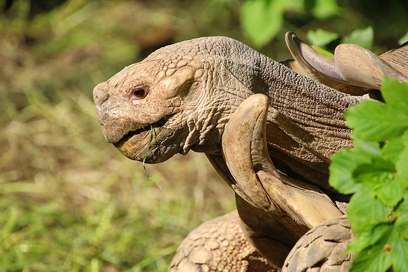 01.06.2021 - Die schönsten Stunden aus dem Zoo Salzburg.