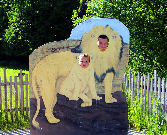 01.06.2021 - Die schönsten Stunden aus dem Zoo Salzburg.