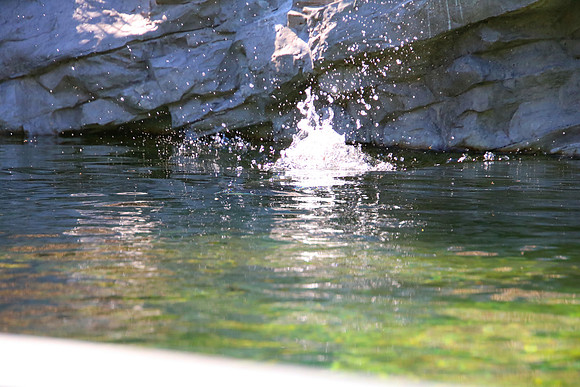 01.06.2021 - Die schönsten Stunden aus dem Zoo Salzburg.