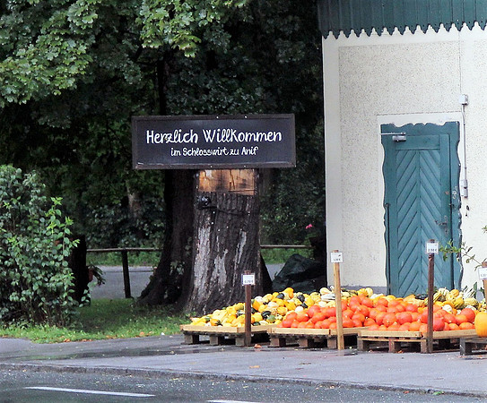 Schlosswirt zu Anif