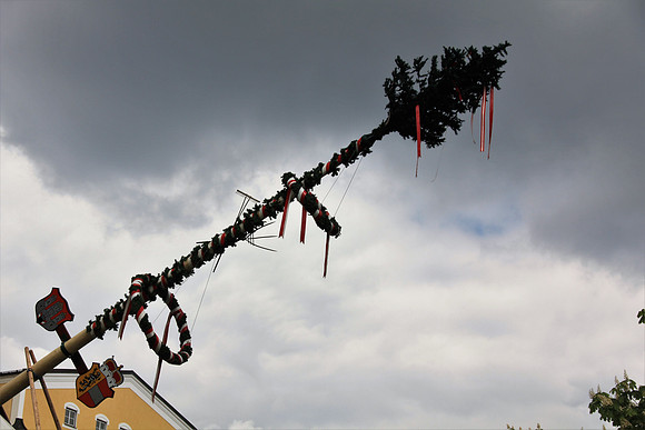 Stiegl Maibaumfest 2014