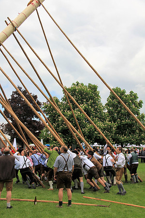 Stiegl Maibaumfest 2014