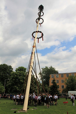 Stiegl Maibaumfest 2014