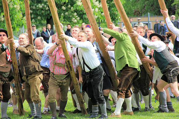 Stiegl Maibaumfest 2014