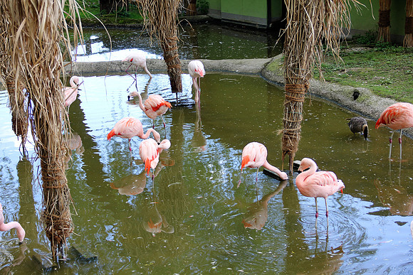 Ostereier suche im Zoo