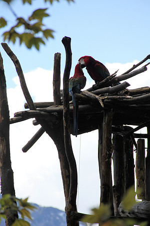Ostereier suche im Zoo