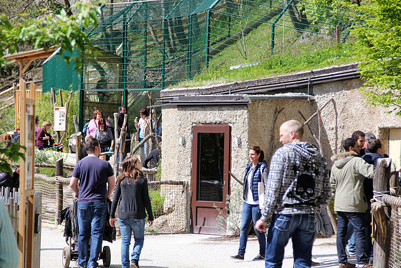 Ostereier suche im Zoo