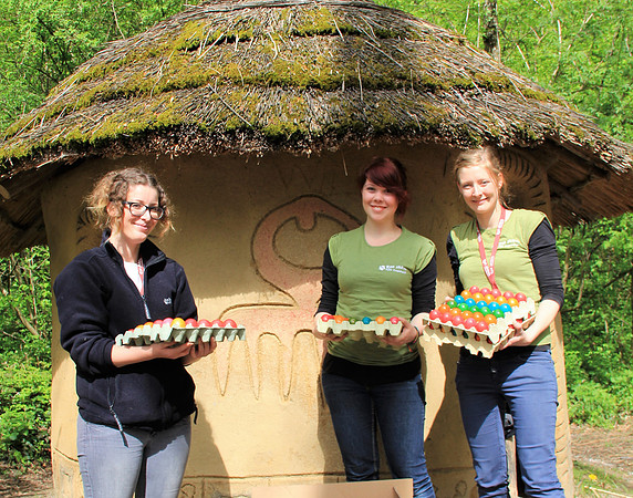 Ostereier suche im Zoo