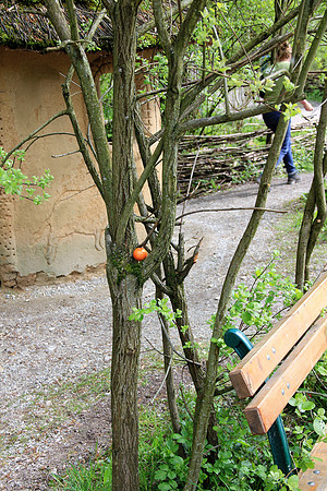 Ostereier suche im Zoo