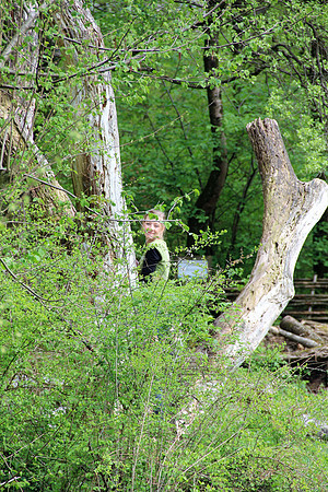 Ostereier suche im Zoo