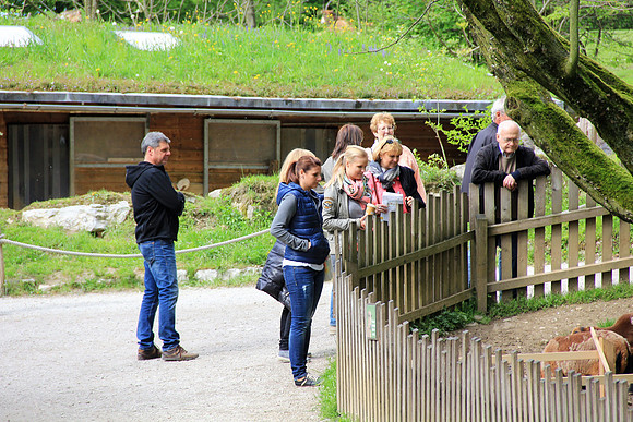 Ostereier suche im Zoo
