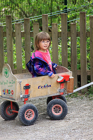 Ostereier suche im Zoo