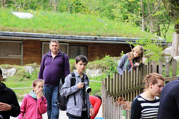 Ostereier suche im Zoo