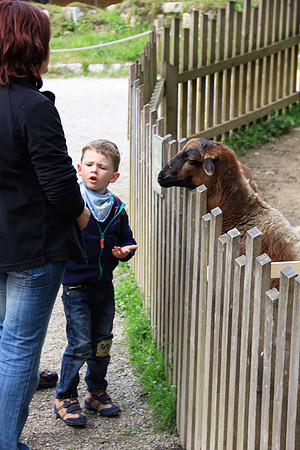Ostereier suche im Zoo