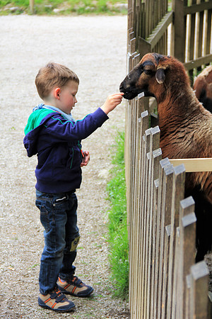 Ostereier suche im Zoo