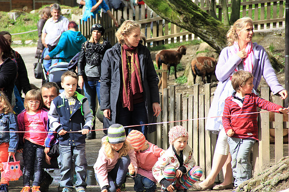 Ostereier suche im Zoo