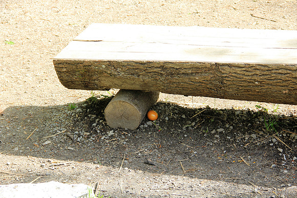 Ostereier suche im Zoo