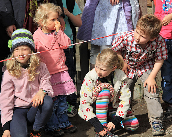 Ostereier suche im Zoo