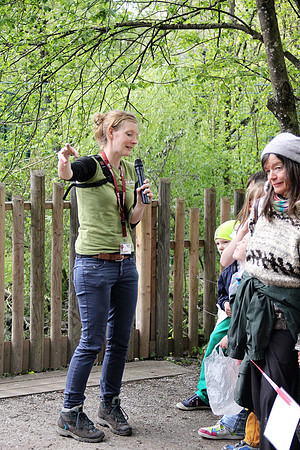 Ostereier suche im Zoo
