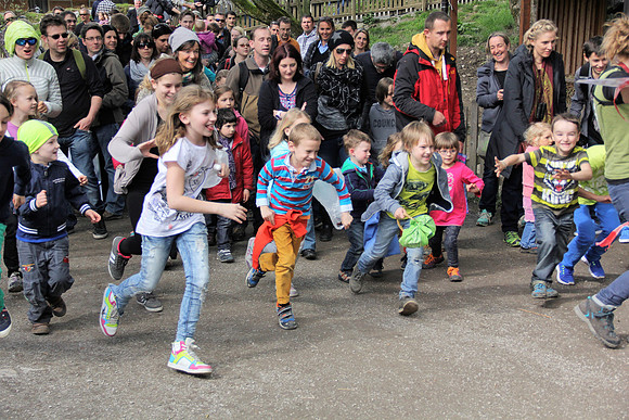 Ostereier suche im Zoo