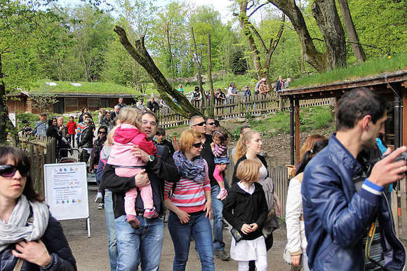 Ostereier suche im Zoo
