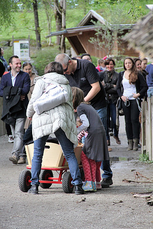 Ostereier suche im Zoo
