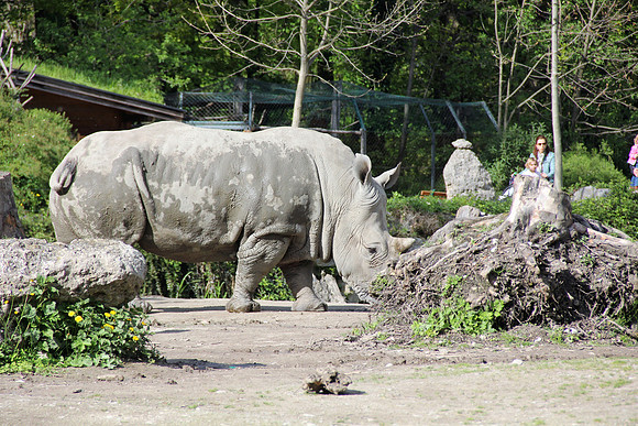 Ostereier suche im Zoo