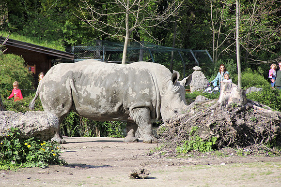 Ostereier suche im Zoo