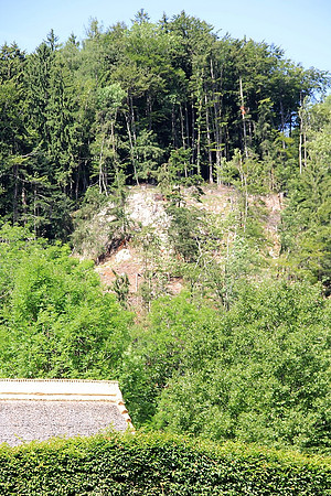 Keltendorf "Salina"