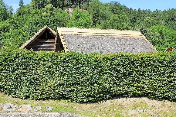 Keltendorf "Salina"