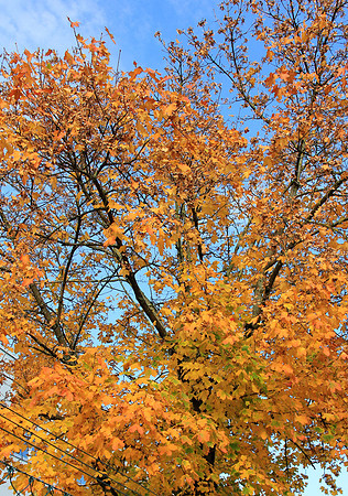 26. Oktober 2017