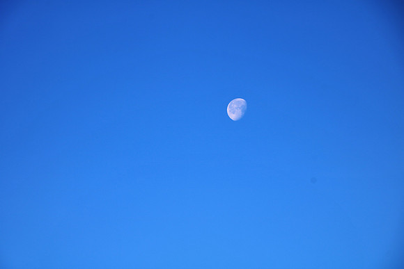 Morgenstimmung + Mittag