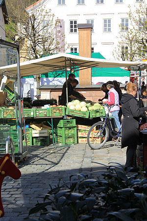 Bauernmarkt in Hallein