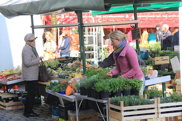 Bauernmarkt in Hallein