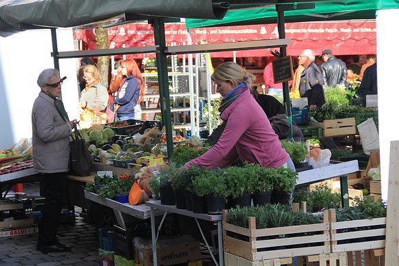 Bauernmarkt in Hallein
