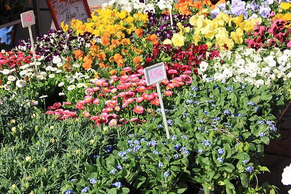 Bauernmarkt in Hallein
