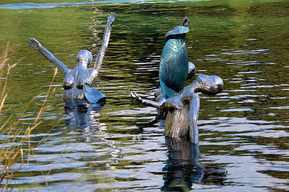 AQUARIA im Waldbad Anif