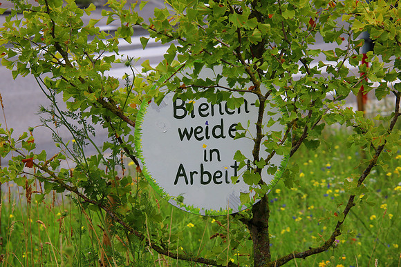 Bienenweide Rif