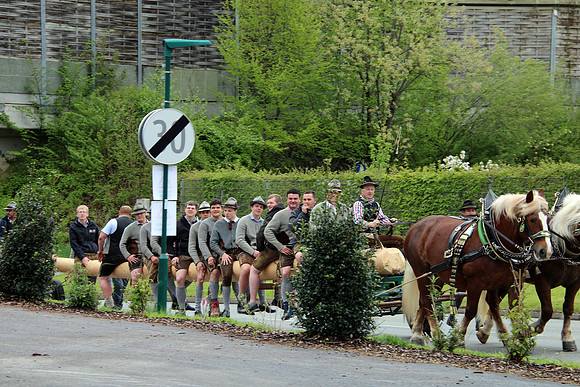 Maibaum Bad Vigaun 2022
