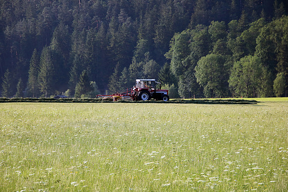 Bilder Rundum St. Martin bei Lofer