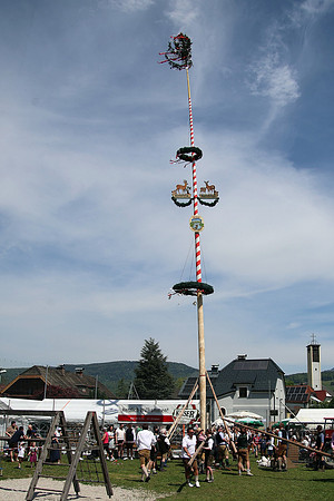 Maibaumfest Rehhhof