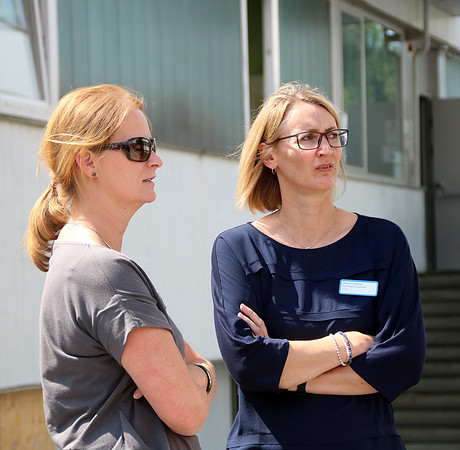 1. Salzburger Freiwilligentag
