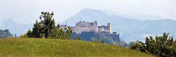 1. Salzburger Freiwilligentag